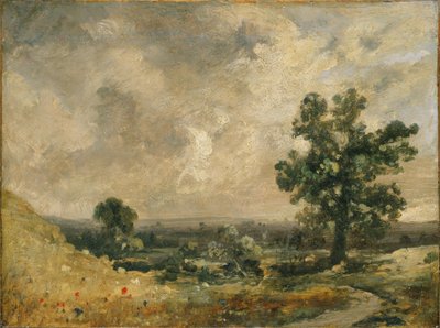 Paesaggio Inglese da John Constable